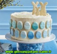 Giresun Mois Transparan çilekli yaş pasta